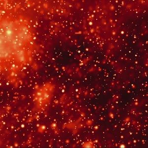 Meet your Posher, Riley